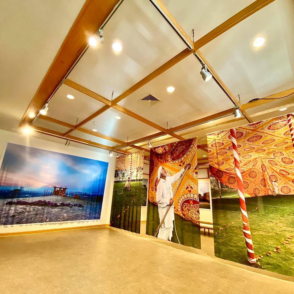 Greenville Museum of Art- Blue Jackal Under the Treee