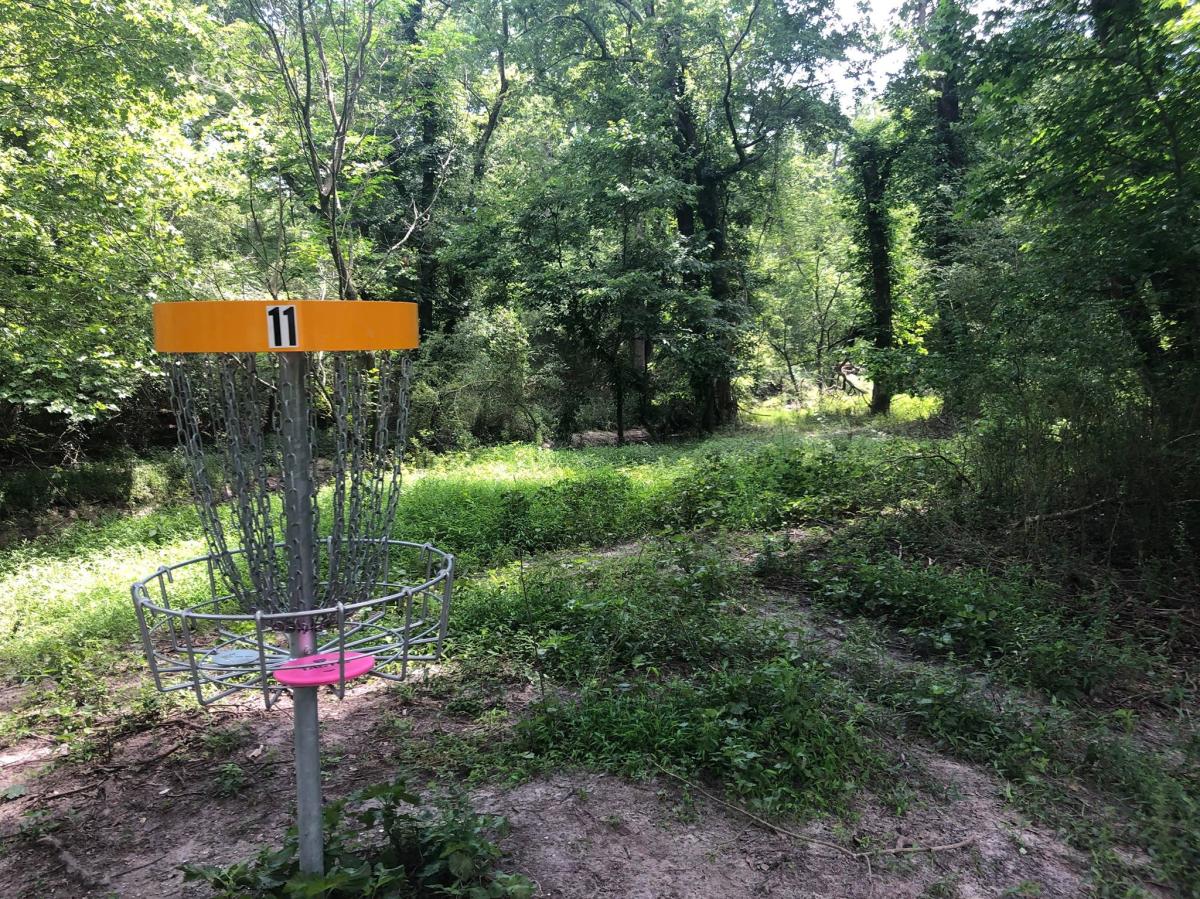 Disc Golf 12