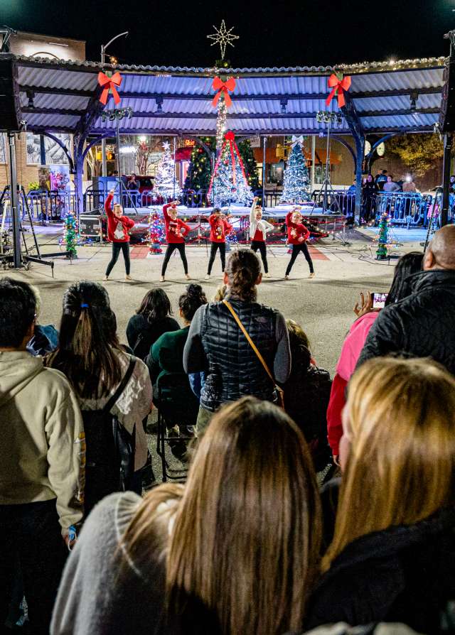 Holiday Greenville Gives