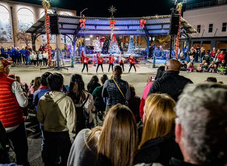 Holiday Greenville Gives