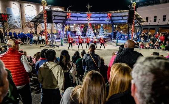 Holiday Greenville Gives