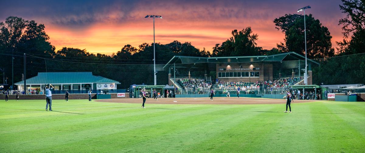 Elm Street Park LLSWS