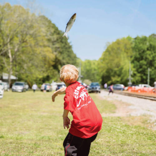 Shad Toss