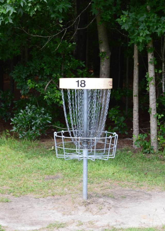Disc Golf Goal