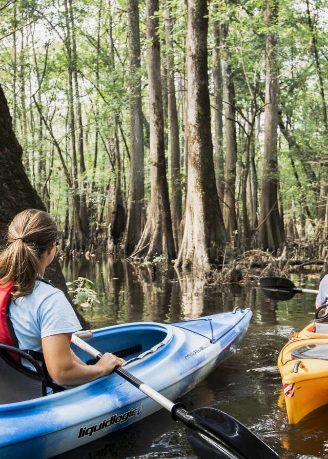 Kayakers in Swampland