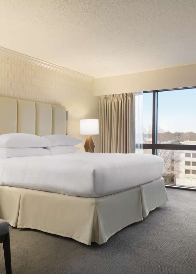 Hilton Greenville - 1 King Bed Junior Suite