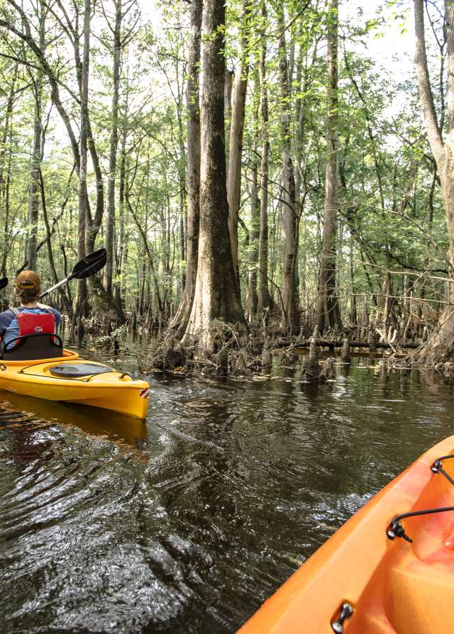 Kayaking Tar River