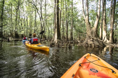 Kayaking Tar River