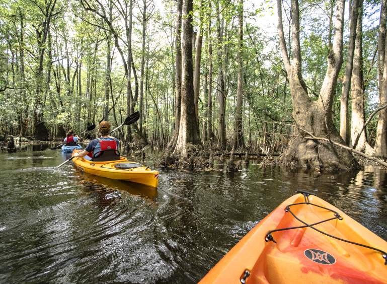 Kayaking Tar River