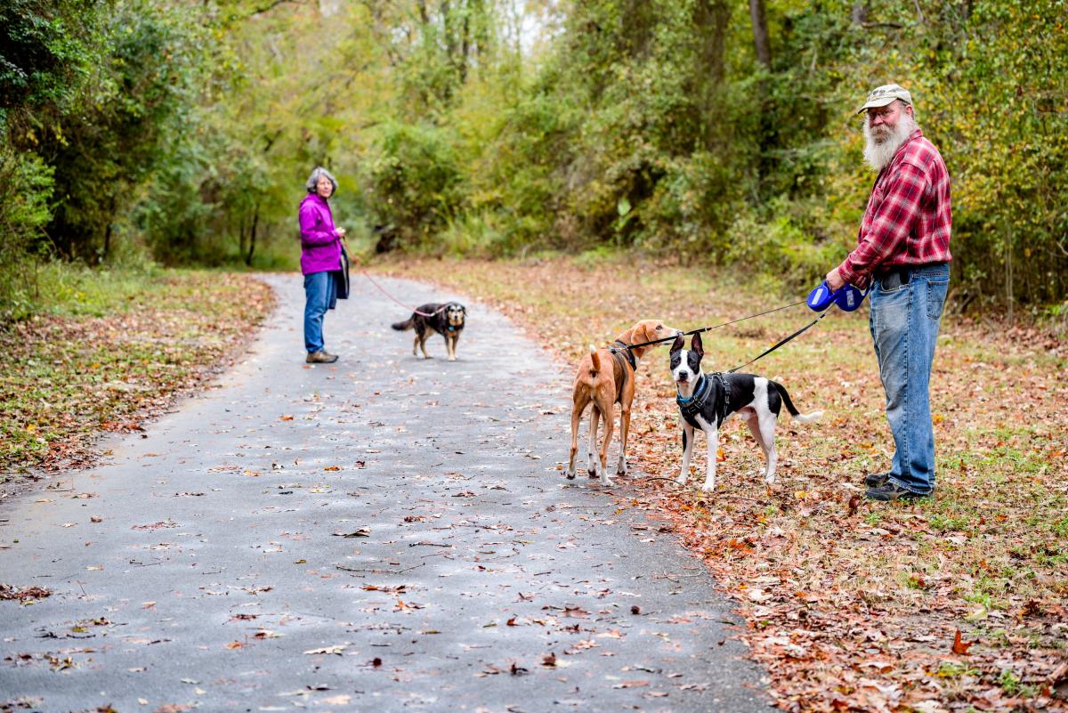 People Walking Dogs Along Trail