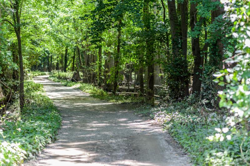 River Park North Camping Trail