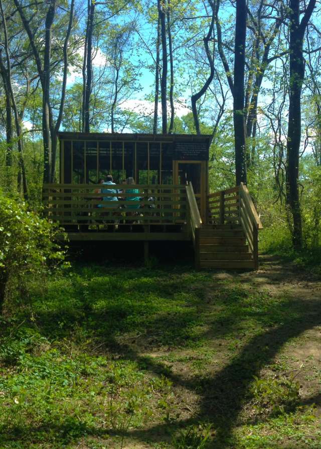 RPN Camping Platform